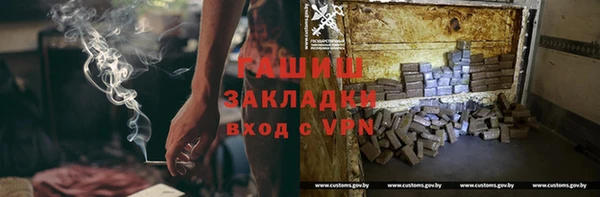 индика Аркадак