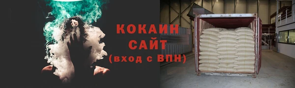 индика Аркадак