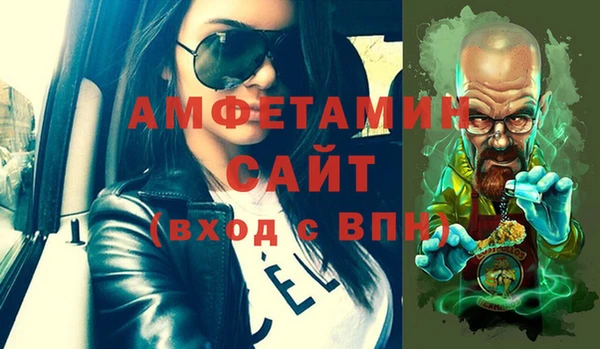 индика Аркадак
