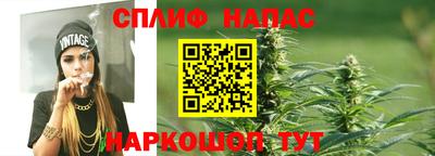 шишки Тула