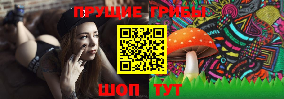 Псилоцибиновые грибы Magic Shrooms  Вход с VPN  Новый Уренгой 