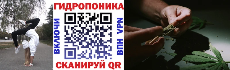 закладка  Новый Уренгой  Каннабис индика 